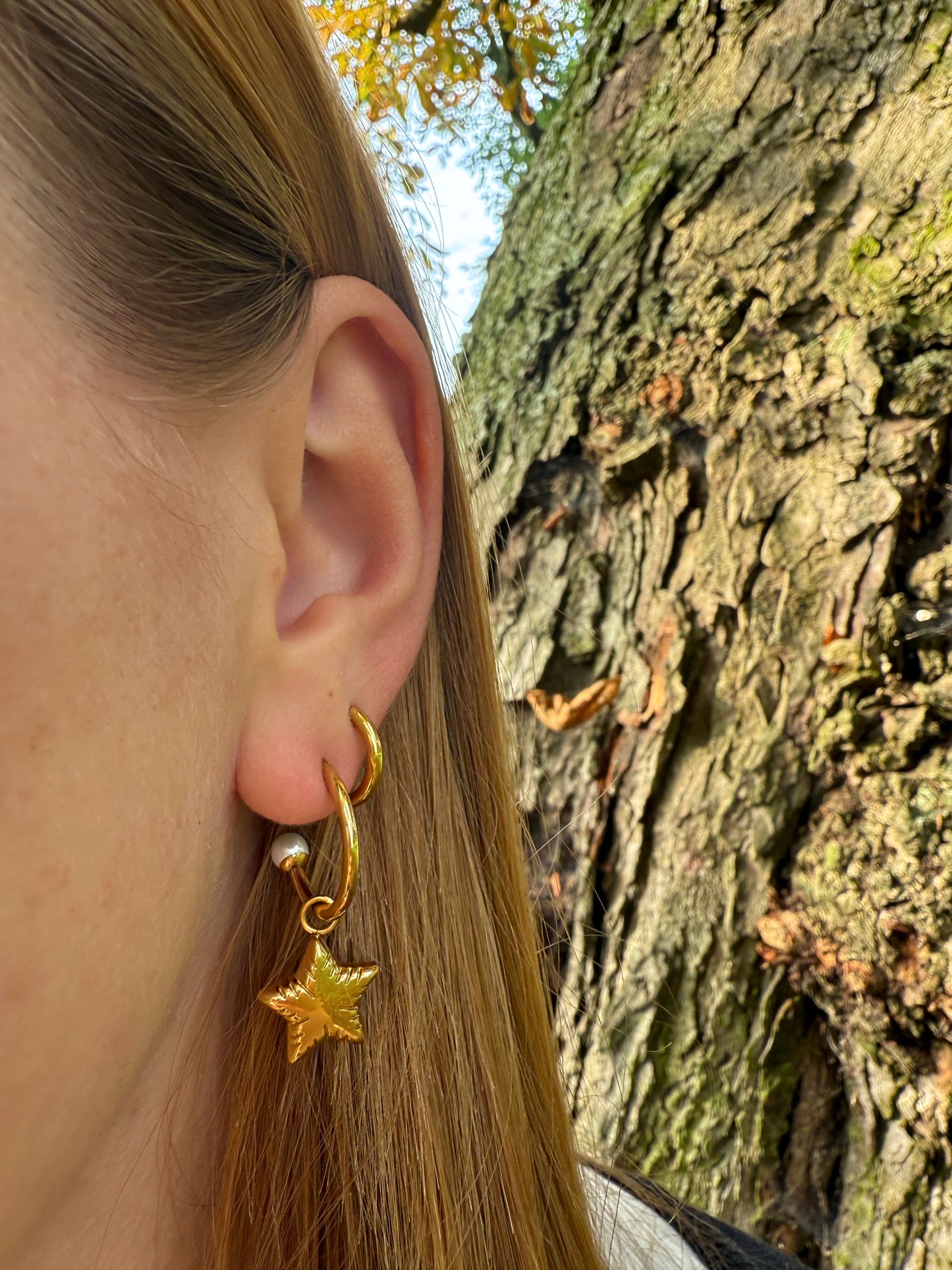 Golden Star Ohrringe